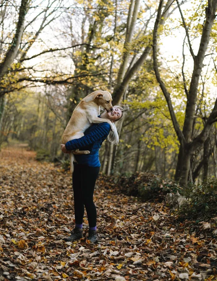 pexels-photo-1612861 Una mujer ha encontrado a su mascota perdido en el campo gracias a un tracker GPS